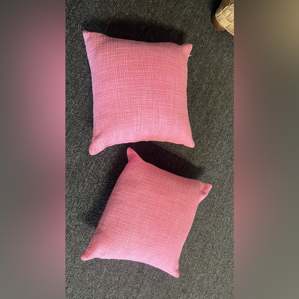 Two pink 14 inch statement pillows